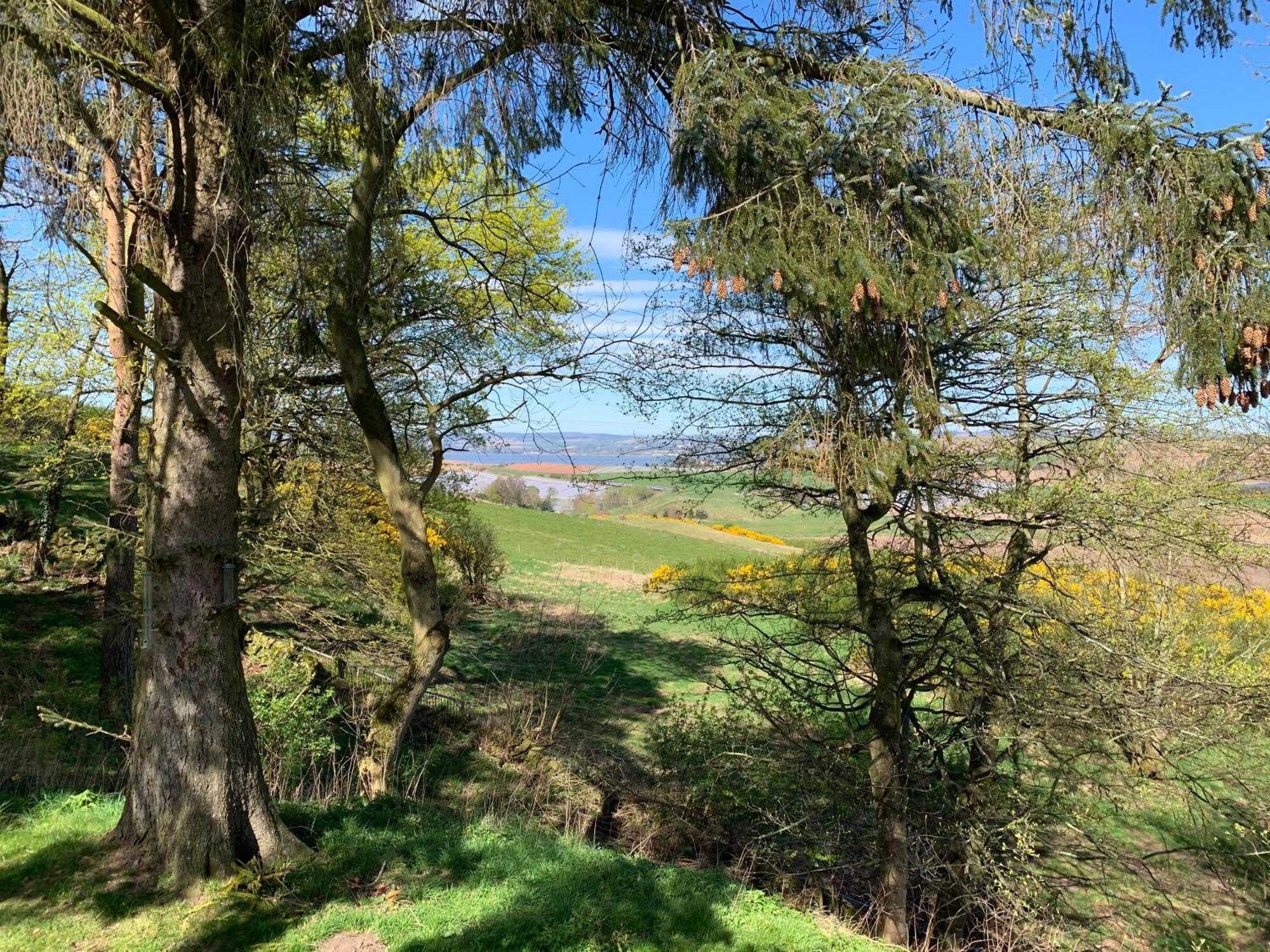 Apartment Sandford Country Newport-On-Tay